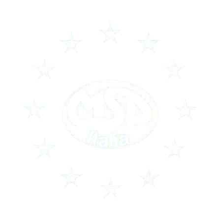 MSP ITALIA